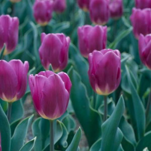  `[bv勅E20l@F 20y^LCczHA