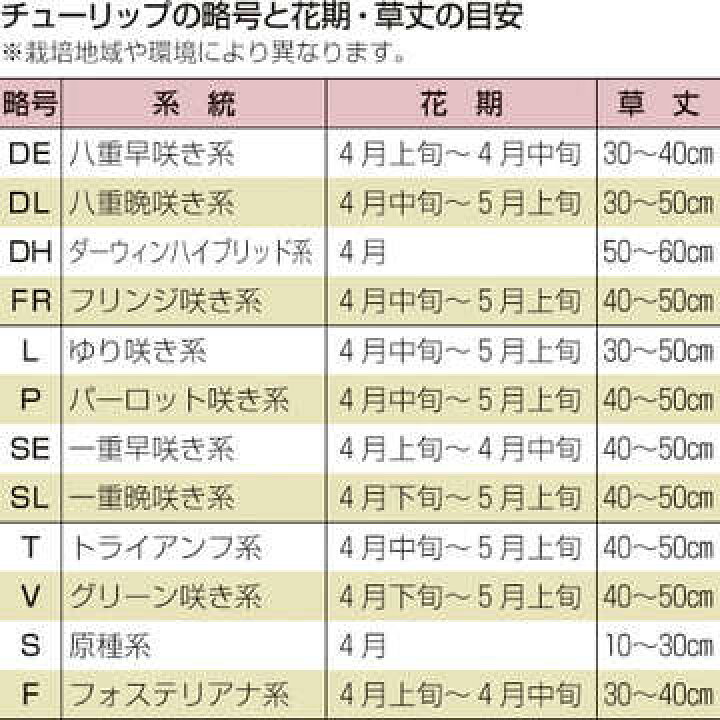 市場 タキイ種苗 50球詰め 球根 チューリップ