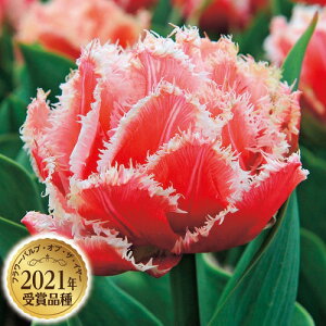  `[bvENC[Yh 4y^LCczHA