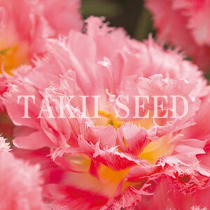  `[bvENXsIXC[g 4y^LCczHA