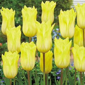  `[bvETj[vEh 4y^LCczHA