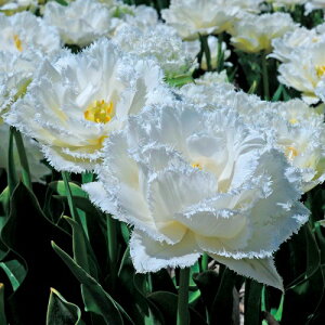  `[bvEXm[NX^ 4y^LCczHA