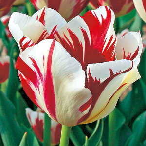  `[bvEOhp[tFNV 4y^LCczHA