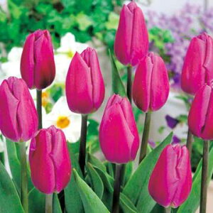  `[bv p[vtbO 4y^LCczHA