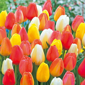  `[bv WfBXt@~[ ~bNX 12y^LCczHA