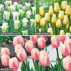  ₩`[bv Zbg 1gy^LCczHA