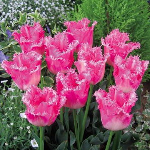  `[bv t@V[tX 4y^LCczHA