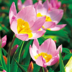  n`[bv CbN_[ 10y^LCczHA