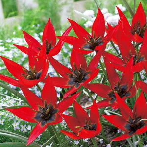  n~j`[bv W[ 10y^LCczHA