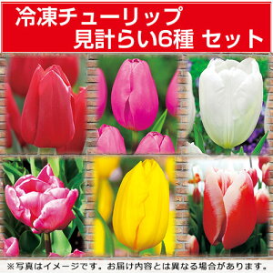 y\z Ⓚ`[bvv炢6 Zbg 1gy^LCczHA