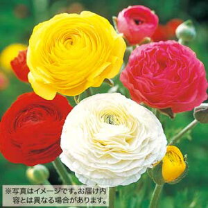  iLX h[}[ ~bNX 10y^LCczHA