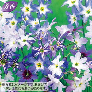  [RR[l XyV ~bNX 10y^LCczHA