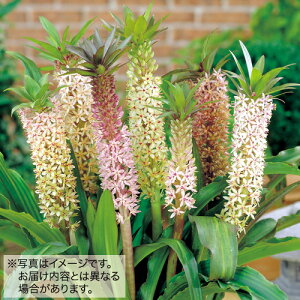 y\z [R~XipCibv[jERT@~bNX 5y^LCcztA