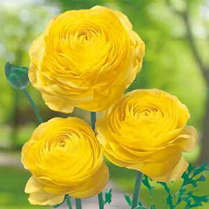  iLX h[}[ CG[ 5y^LCczHA