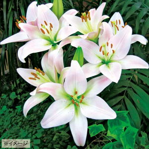  S p[eB[_Ch 5y^LCczHA