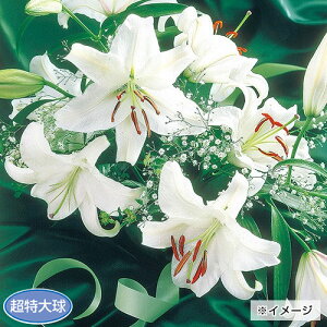  勅 IG^[EJTuJ 3y^LCczHA