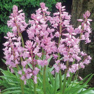  V[ Jpj[sN 10y^LCczHA