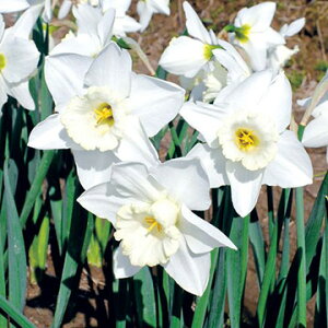  JbvEEFfBOx 5y^LCczHA