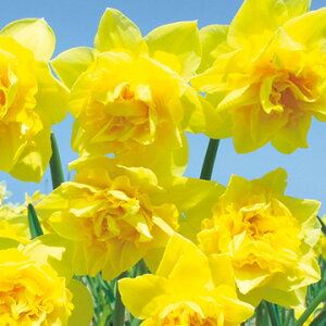  d炫 fBbNEFf 5y^LCczHA