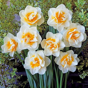  d炫E_ufB[ 5y^LCczHA