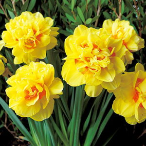  E_b`_Ci}Cg 5y^LCczHA