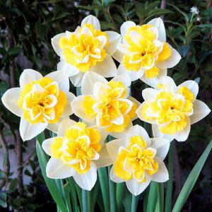  d炫@_uXCb` 5y^LCczHA