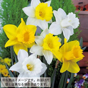 y\z  bp炫 5y^LCczHA