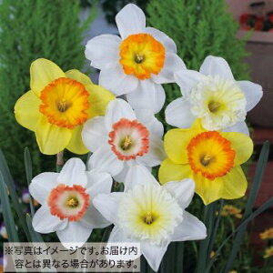 y\z Jbv炫 ~bNX 5y^LCczHA