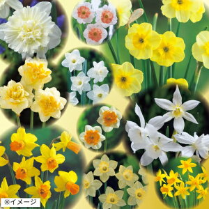 ���� ����l�ߍ��킹�� 1���y�^�L�C��c�����z�H�A��