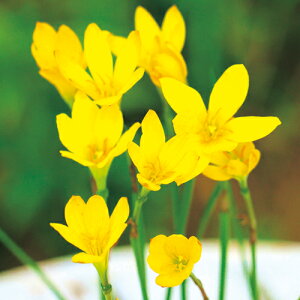 y\z [tBTXEVgi 20y^LCcztA