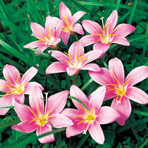 y\z [tBTXEJi^ 20y^LCcztA