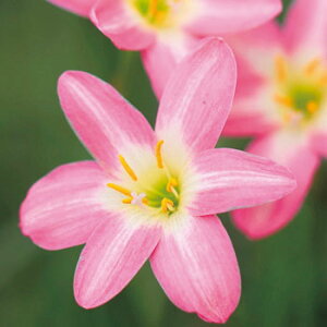 y\z [tBTXEt@W[RNVEsNr[` 10y^LCcztA