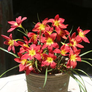 y\z [tBTXEt@W[RNVErbObh 10y^LCcztA