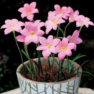 y\z [tBTXEt@W[RNVErbOsN 10y^LCcztA