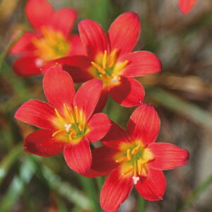 y\z [tBTXEt@W[RNVEvChIuVK|[ 10y^LCcztA