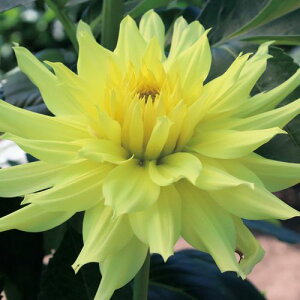 �y�\��z���� �_���A�E�I�[���� 1���y�^�L�C��c�����z�t�A��