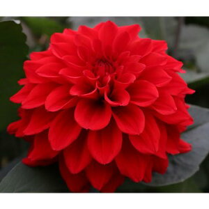 y\z _A A}r[ 1y^LCcztA