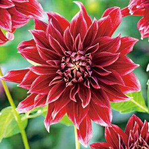 y\z ֍炫_AEBe[Wbh 1y^LCcztA