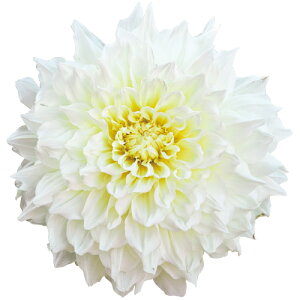 y\z ֍炫_AE}RYzCg 1y^LCcztA