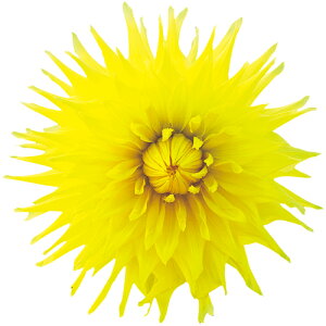 y\z ֍炫_AEtX^ 1y^LCcztA