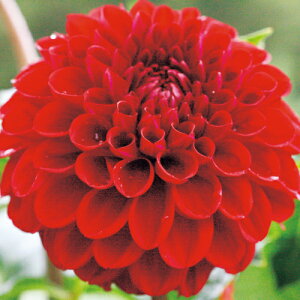 y\z {[炫_AEp 1y^LCcztA