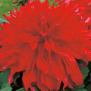 y\z ֍炫_AEbh}X 1y^LCcztA