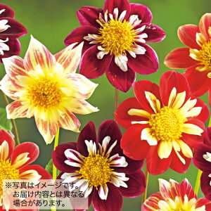 y\z _AERbg炫3~bNX 3y^LCcztA