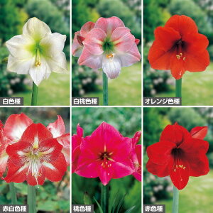 y\z |bgAA}X6 Zbg 1gy^LCczHA