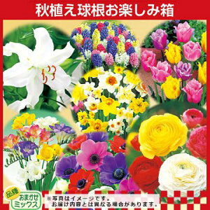 ���� �H�A���������y���ݔ� 1���y�^�L�C��c�����z