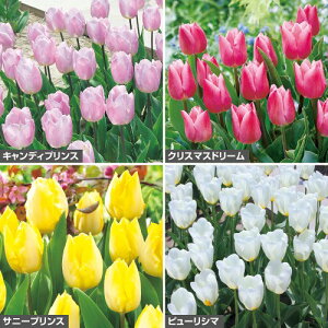  炫`[bvZbg 1gy^LCczHA