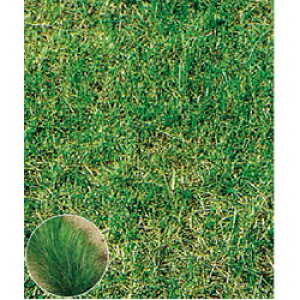  N[sObhtFXN irQ[^[2 0.5kgy^LCcz