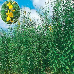  N^AiΔpjElRuL[ 1kgy^LCcz