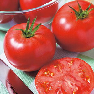  ʃg}gEYlNXg 1܁y^LCcz