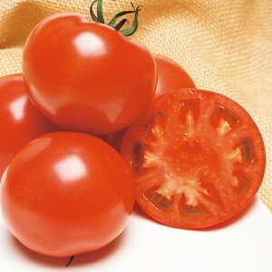 �� ��ʃg�}�g�ECF�����Y�t�@�C�g 1�܁y�^�L�C��c�����z